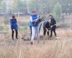 Роще - вторую жизнь 2
